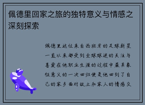 佩德里回家之旅的独特意义与情感之深刻探索