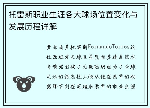 托雷斯职业生涯各大球场位置变化与发展历程详解